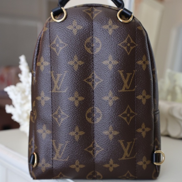 Louis Vuitton Palm Springs Mini Backpack - Picture 2 of 13